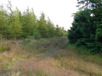DSC09367
