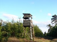 DSC09368