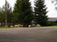 DSC09380