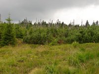 DSC09067
