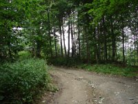 DSC09085