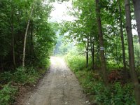 DSC09086