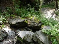 DSC06128