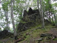 DSC06174