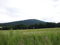 DSC06199