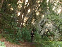 DSC06217