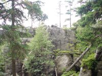 DSC08967