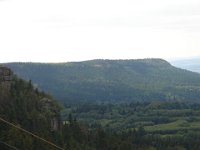 DSC08981
