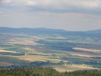 DSC08989