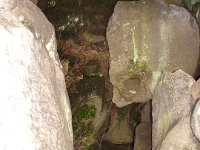 DSC09003