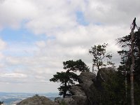 DSC09004