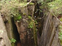 DSC09005