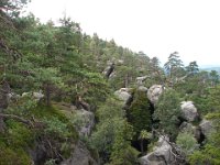 DSC09026