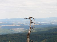 DSC09028