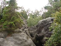 DSC09029