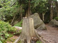 DSC09038