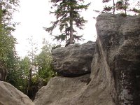 DSC09041