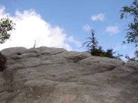DSC09042