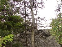 DSC09051