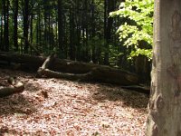 DSC05942