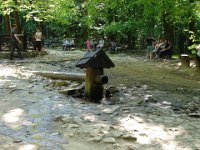DSC05950