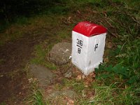 DSC09138