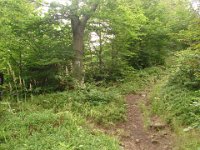 DSC09140