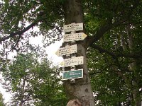 DSC09146