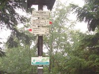DSC09526