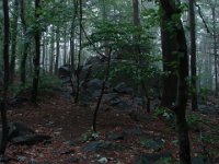 DSC09449