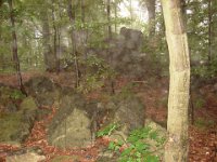 DSC09450