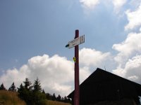 DSC09318
