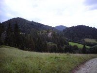 DSC00398