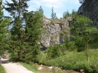 DSC06546