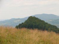 DSC06602