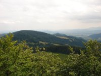 DSC06603