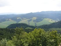DSC06604