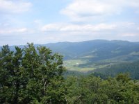 DSC06606