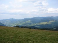 DSC06618