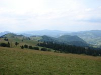 DSC06622