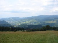 DSC06623