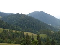 DSC06637
