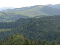 DSC06638