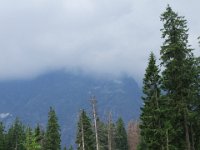 DSCF5367