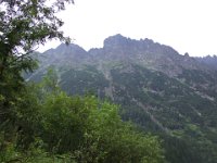 DSCF5372