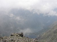 DSC08000