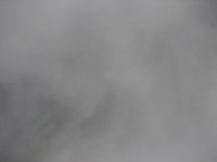 DSC08010