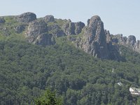 IMG 5307