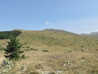 IMG 5313