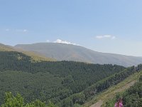 IMG 5316
